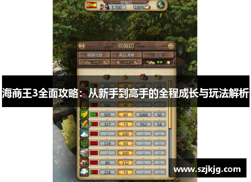 海商王3全面攻略：从新手到高手的全程成长与玩法解析